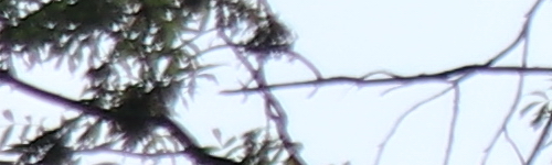 Canon EF-M 15-45mm f/3.5-6.3 IS STM