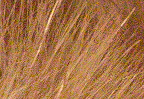 Canon EOS 60D: na pomezí dvou světů