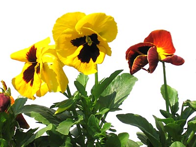 Tipy a triky nejen pro začátečníky, díl 11. - Prověření fotoaparátu po nákupu II.