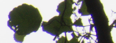 Tamron 16-300mm f/3.5-6.3 Di II VC PZD Macro