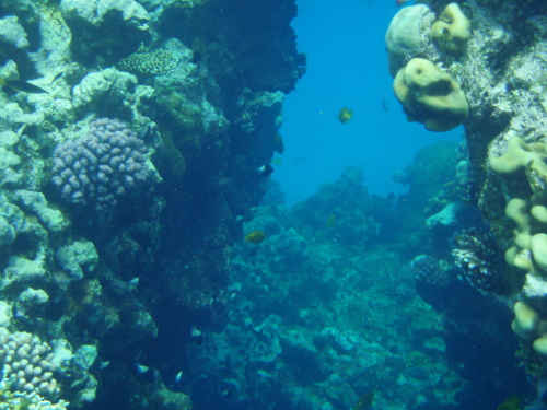 Modrý vesmír - tipy pro fotografování