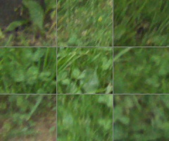 Panasonic Lumix G Vario 100-300mm F4-5,6