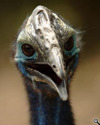 Cesta ke kvalitní fotografii: 3.díl