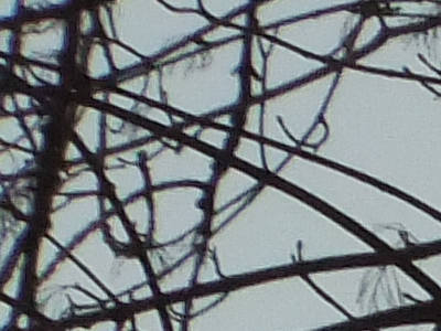 Fujifilm FinePix F300EXR: klame tělem