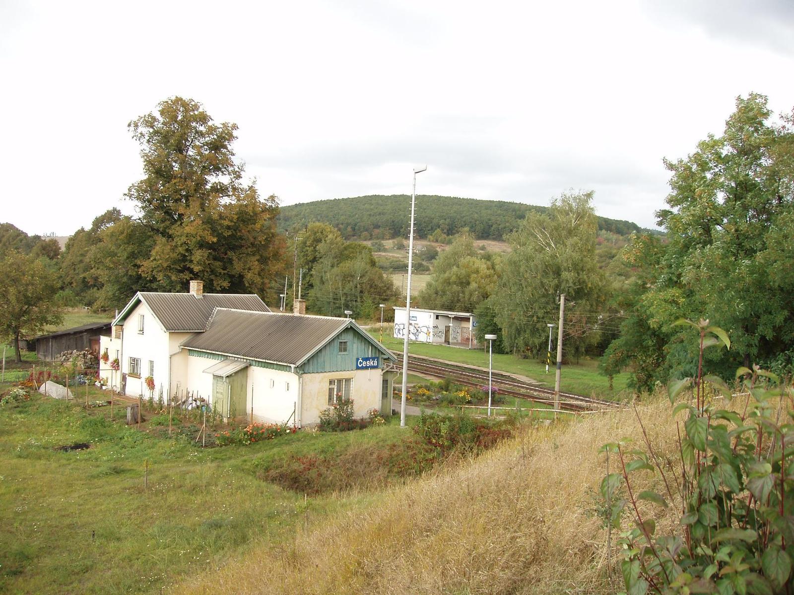 Olympus C-60 Zoom: Ideální společník