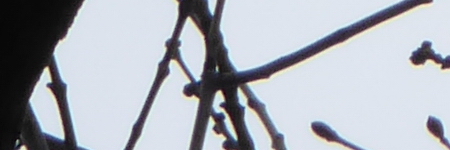 Panasonic Lumix TZ70: krůček k profi ultrazoomu