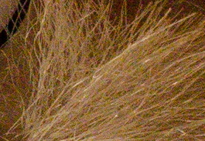 Nikon Coolpix A: velmi příjemná (ne)výraznost