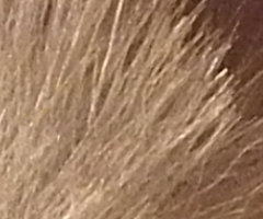 Fujifilm FinePix HS10: ultrazoom roku?