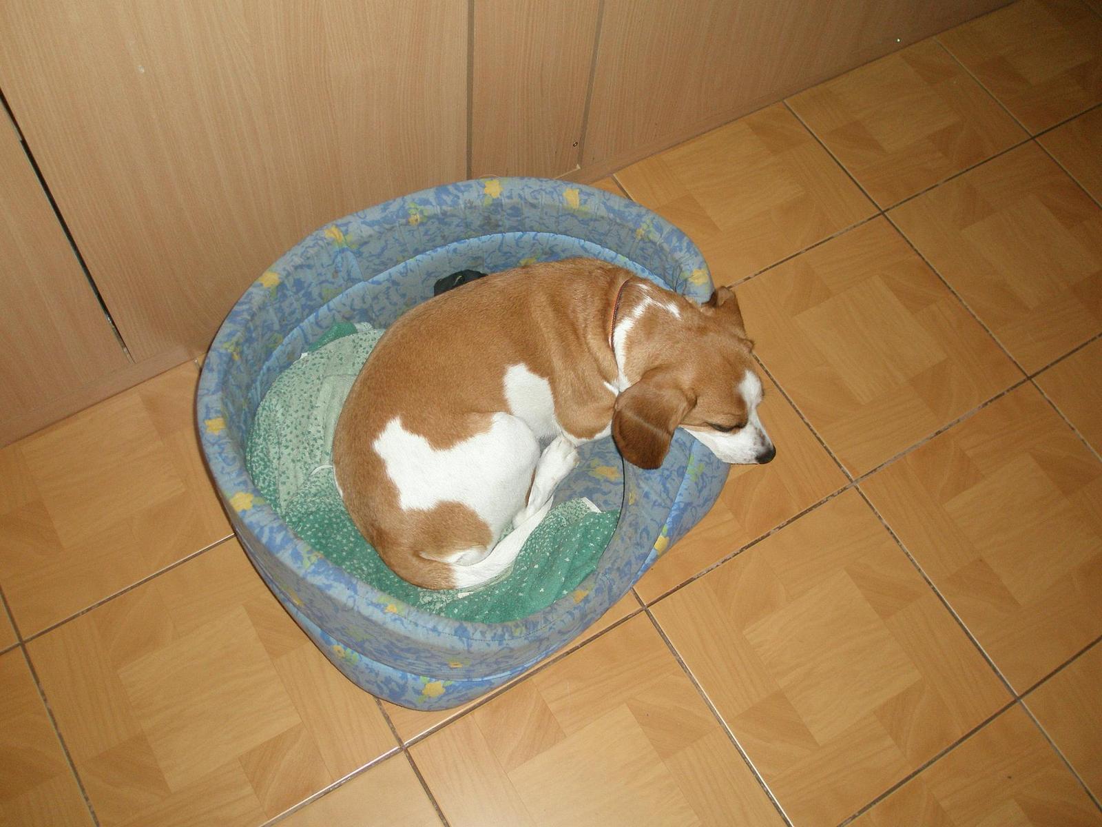 Velmi citlivé mjučko