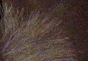 Olympus Stylus XZ-2: jednoduše skvělý