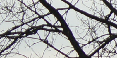 Sony SAL-70400G (70-400mm F4-5,6 SSM G)