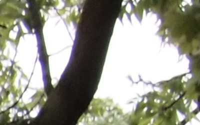 Olympus M.Zuiko Digital 40-150 mm F4-5,6 + nová R verze