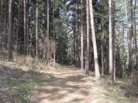 Canon PowerShot A520: Tak trochu jiné Áčko s plným manuálem