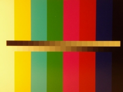 Olympus mju 770 SW: ironman