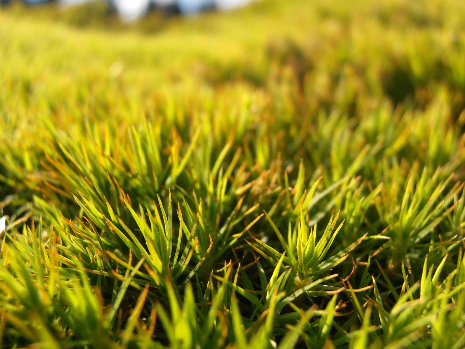 Olympus VR-310 a VR-320: jaké je tajemství úspěchu?