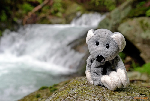 Fotíme s Koalou: Kouzla dlouhé expozice