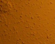 DiMAGE Z5: stabilních pět milionů