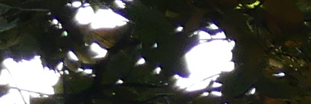 Panasonic Lumix FZ300: opět na špici