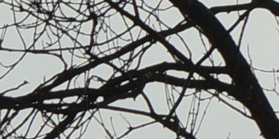 Sony SAL-70400G (70-400mm F4-5,6 SSM G)