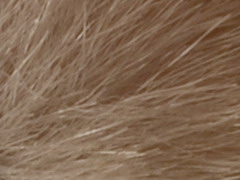 Nikon D3100: základ nabídky DSLR