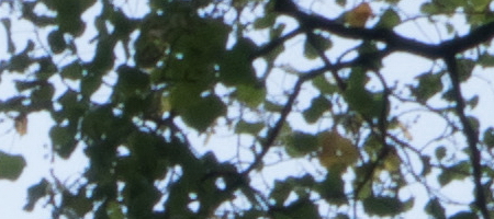 Samsung 16-50mm 1:3.5-5.6 ED OIS Power Zoom