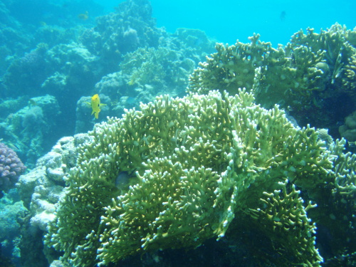 Modrý vesmír - tipy pro fotografování