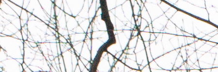 Canon PowerShot G1 X Mark II: významné zlepšení