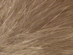 Nikon D3100: základ nabídky DSLR