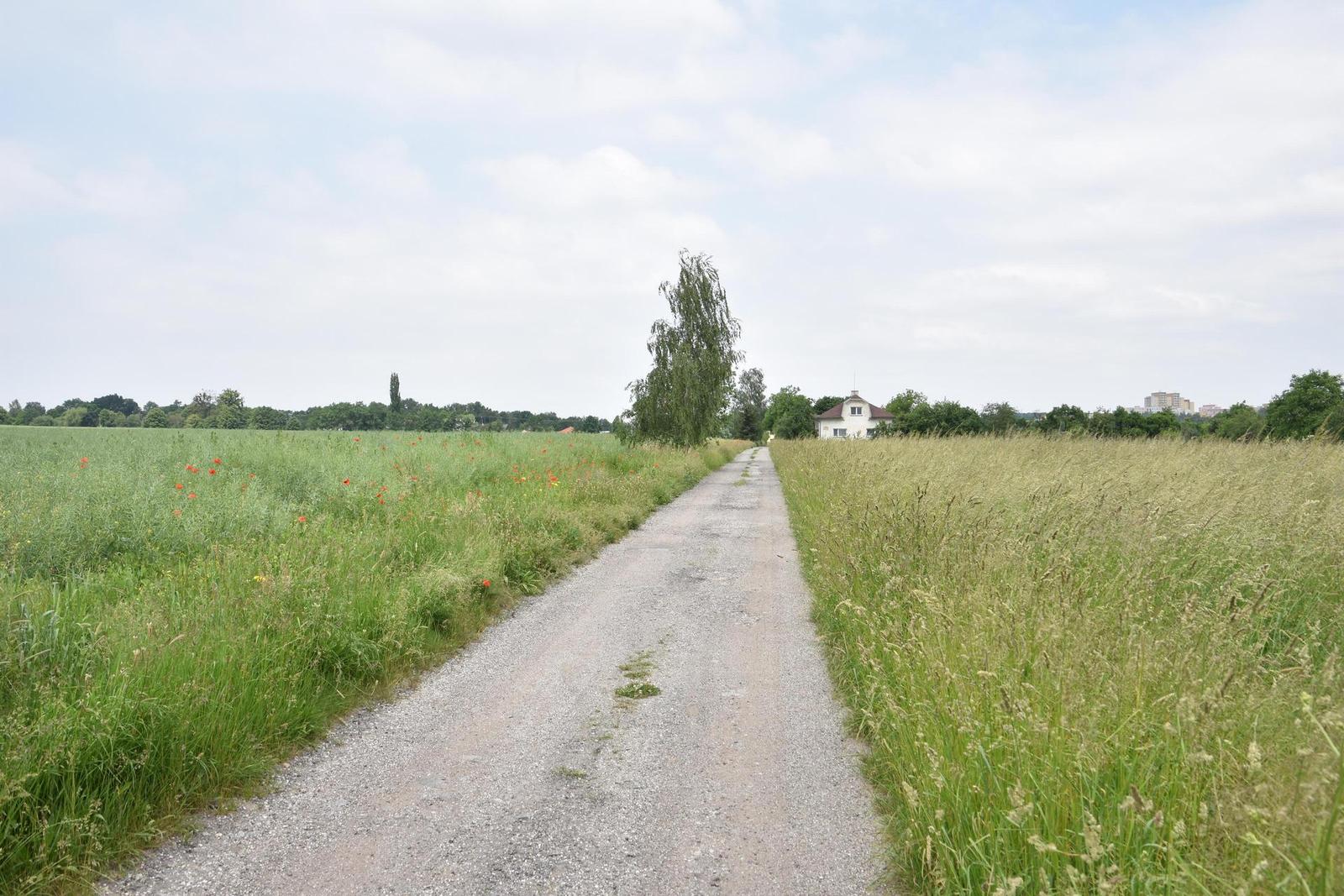 Tamron 16-300mm f/3.5-6.3 Di II VC PZD Macro