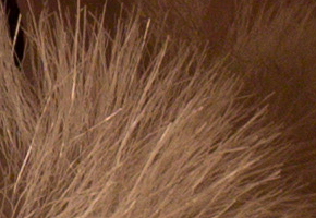 Canon EOS M: první pokus