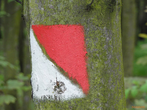 Sony Cyber-shot HX5: pan téměř dokonalý