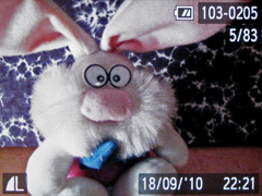 Canon A3000 IS vs. A3100 IS: souboj megapixelů