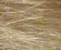 Olympus mju 9000: 10× ultrazoom v kompaktním balení