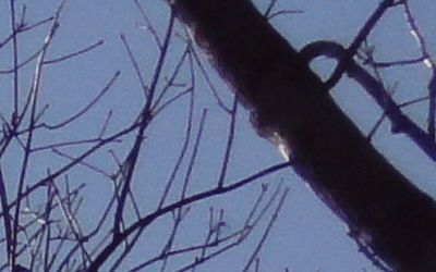 Sony Cyber-shot W570: jde to i s 16 megapixely