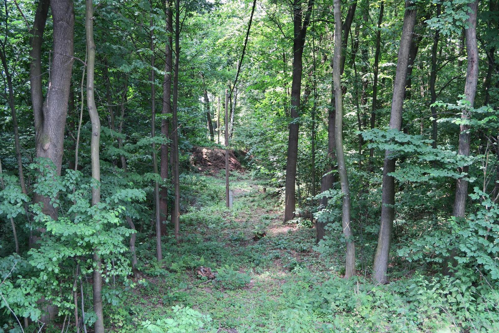 Canon PowerShot G7 X: opět skvělé géčko