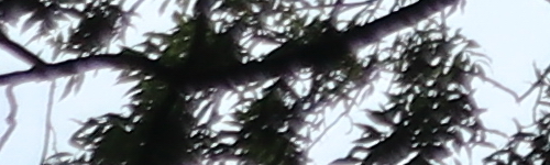 Canon EF-M 15-45mm f/3.5-6.3 IS STM