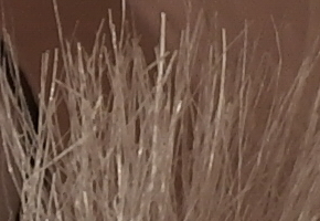 Samsung NX20: za více peněz více muziky