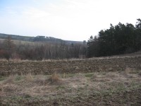 Canon PowerShot A530 - třetí z rodu