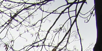 Samyang 35mm F1.4 AS UMC (pro Canon)