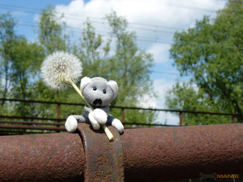 Fotíme s Koalou: Korekce expozice