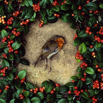 Vítězové Sony WPA 2009 vyhlášeni