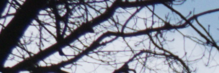 Panasonic Lumix LX100: pozoruhodný profi kompakt