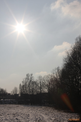 Samyang 35mm F1.4 AS UMC (pro Canon)