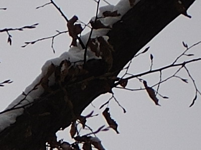 Dva objektivy nebo jeden ultrazoom?