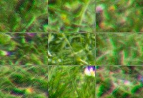 Tamron 16-300mm f/3.5-6.3 Di II VC PZD Macro