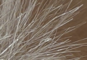 Sony NEX-5R: fázový posun k lepšímu?