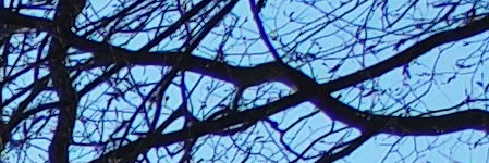 Olympus M.Zuiko Digital 25mm 1:1.8