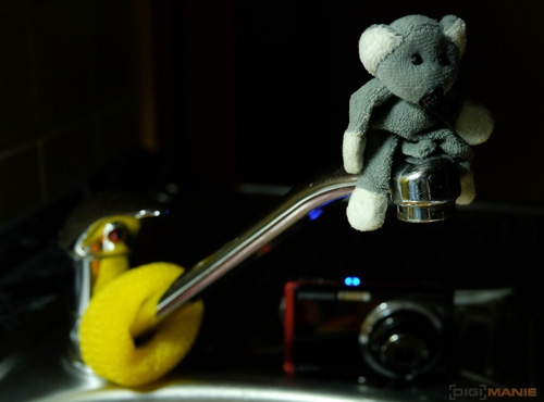 Fotíme s Koalou: Clona