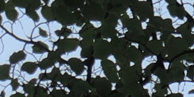 Nikon Coolpix P330: do vyšších sfér