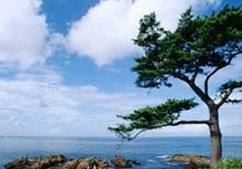 Používáme filtry na digitálních fotoaparátech I